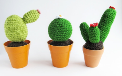 Cactos