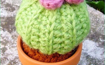 Suculenta