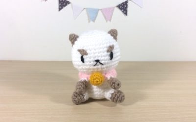 Gato Puppycat | Receitas Grátis