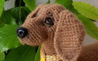 Cachorrinho Salsinha