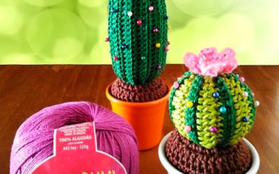 Cactos Alfineteiros | Receita Passo a Passo