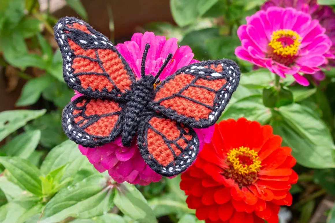 Borboleta Realista Amigurumi