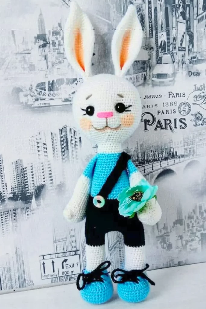 Coelho descolado Amigurumi Pinterest